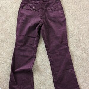 Belle By Kim Gravel Triple luxe Bootcut Corduroy Pant Winetasting Size 12 NEW